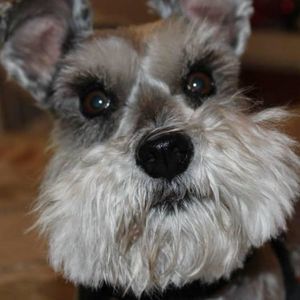 Meet your Posher, Joyce